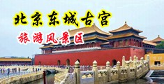 大鸡巴操黑丝美女中国北京-东城古宫旅游风景区